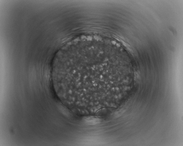 X0000116870331201001051449