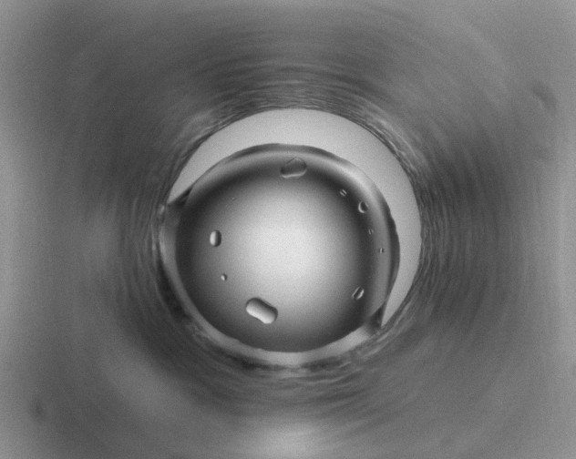 X0000116870333201001051449