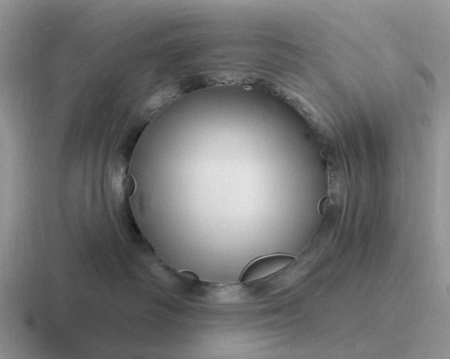 X0000116870334201001051449