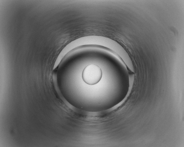 X0000116870336201001051449