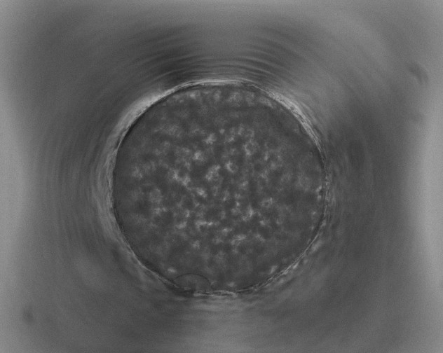 X0000116870337201001051449