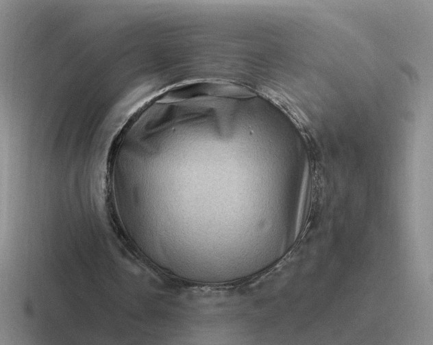 X0000116870338201001051449