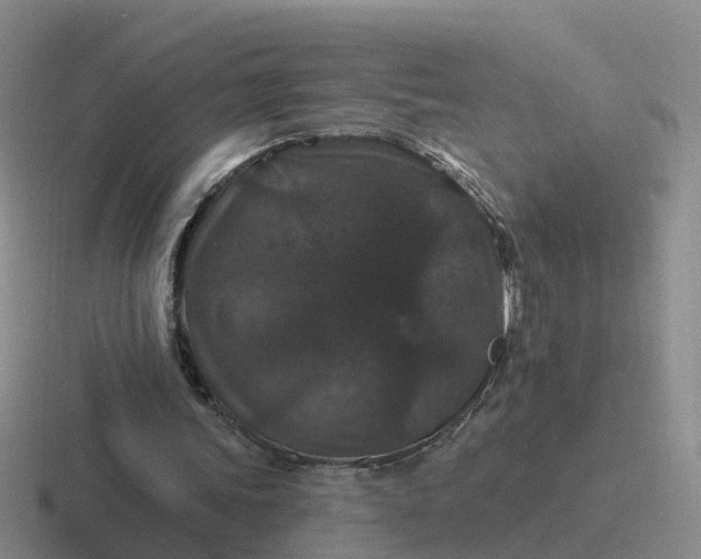 X0000116870339201001051449