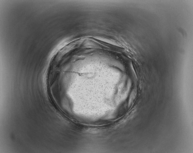 X0000116870341201001051449