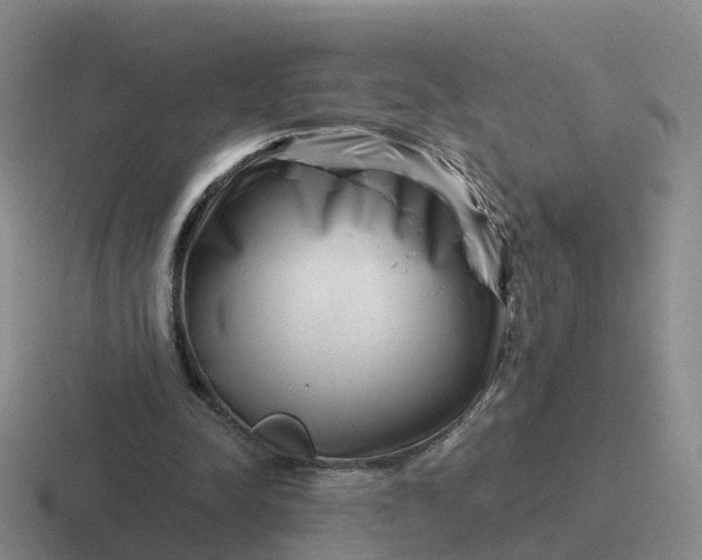 X0000116870342201001051449