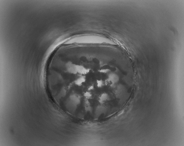 X0000116870343201001051449