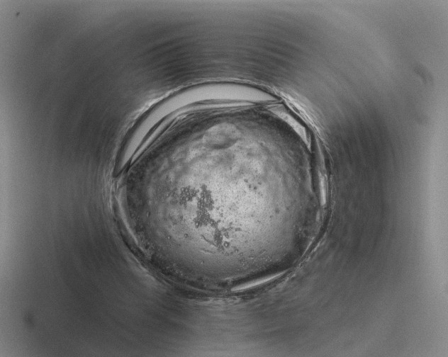 X0000116870345201001051449