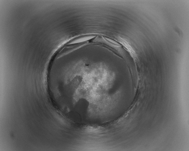 X0000116870346201001051449