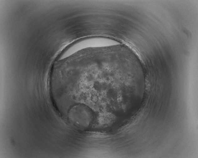 X0000116870347201001051449