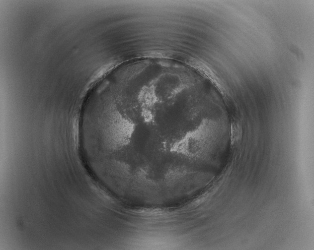 X0000116870349201001051449