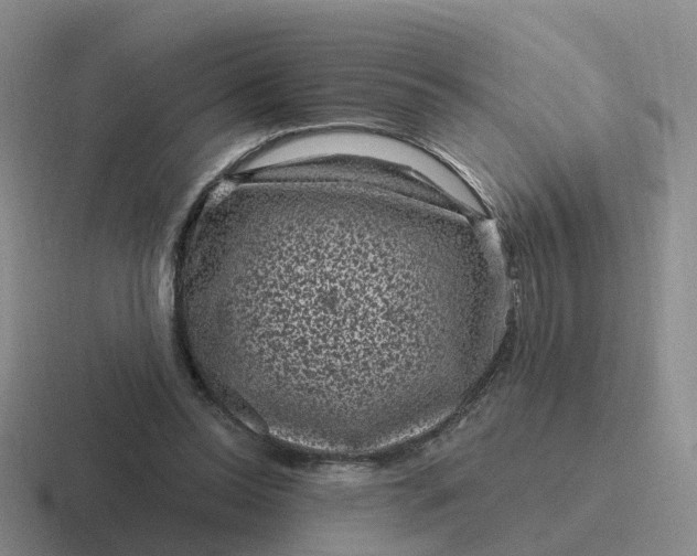 X0000116870350201001051449