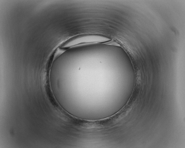 X0000116870351201001051449