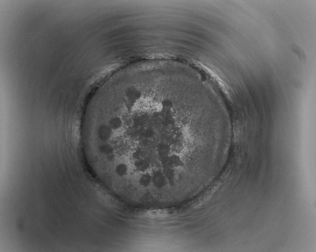 X0000116870353201001051449