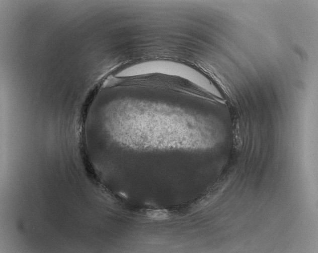 X0000116870355201001051449