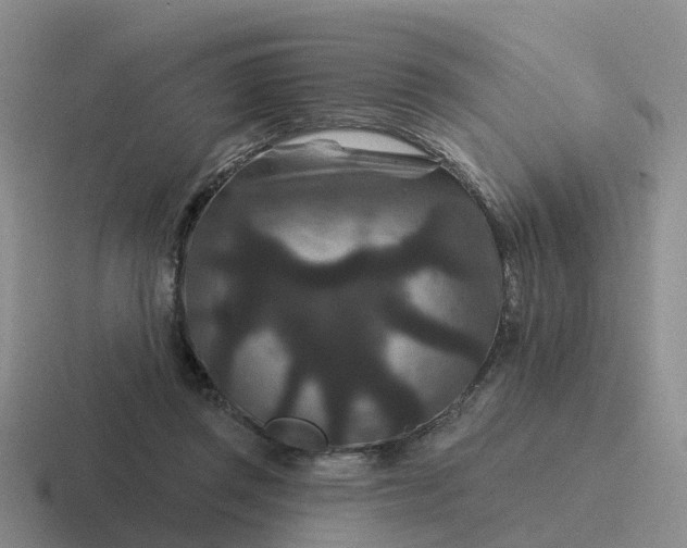 X0000116870357201001051449