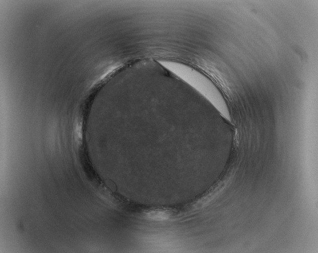 X0000116870358201001051449