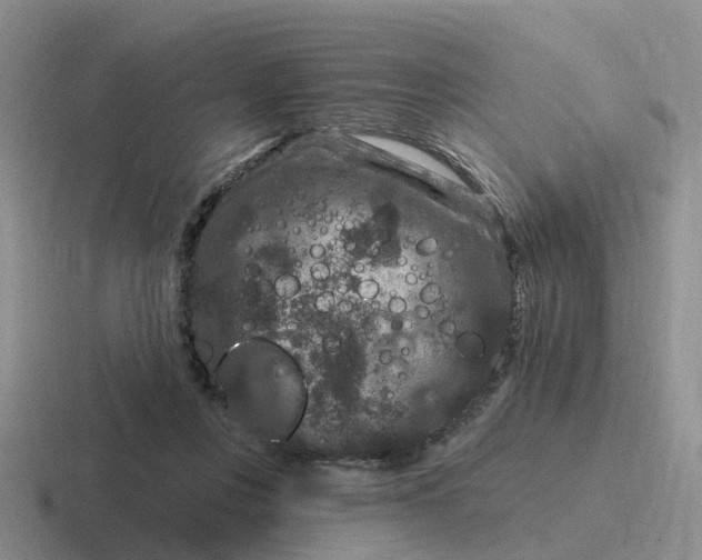 X0000116870359201001051449