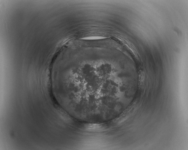 X0000116870361201001051449