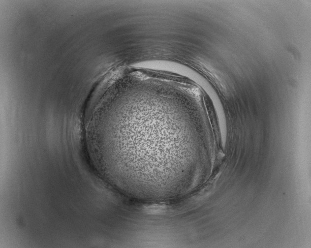 X0000116870362201001051449