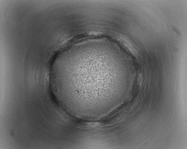 X0000116870363201001051449