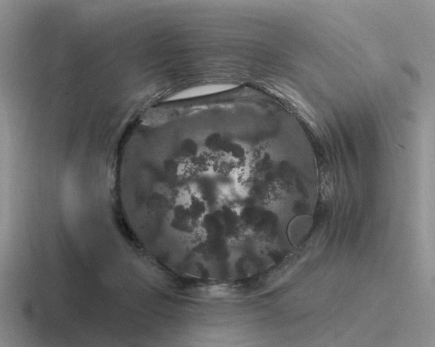 X0000116870365201001051449