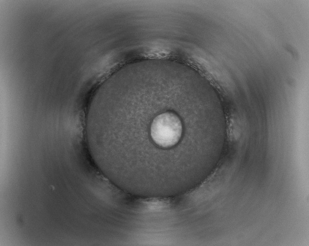 X0000116870370201001051449