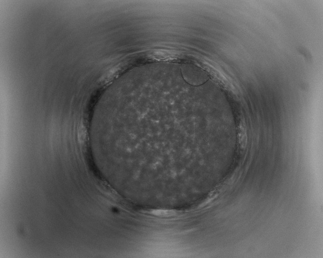 X0000116870371201001051449