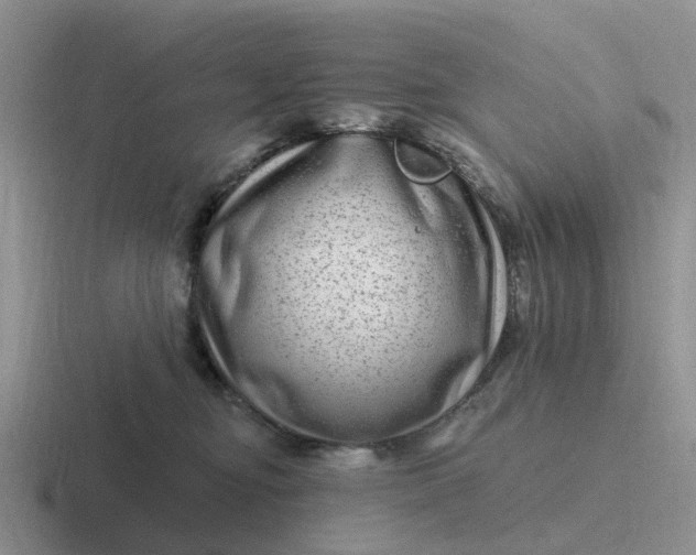 X0000116870374201001051449