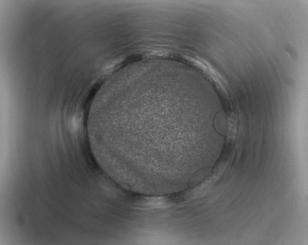 X0000116870377201001051449