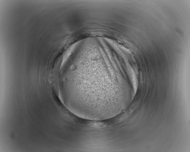 X0000116870379201001051449