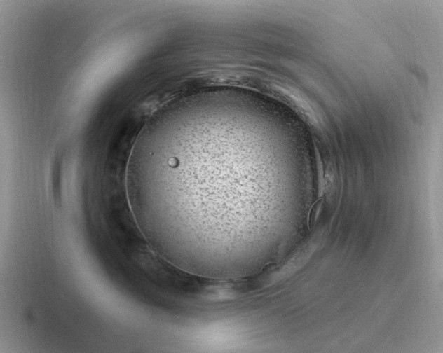 X0000116870381201001051449