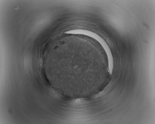 X0000116870382201001051449