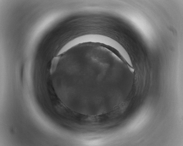 X0000116870383201001051449