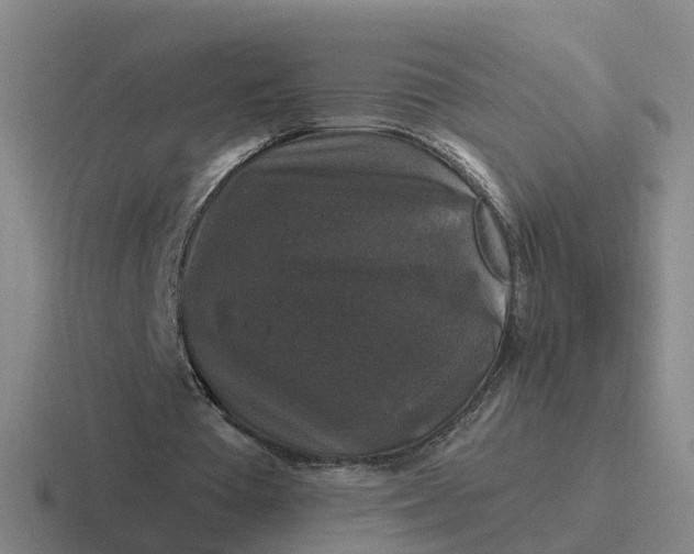 X0000116870385201001051449