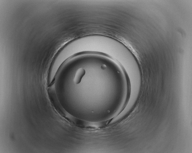 X0000116870386201001051449