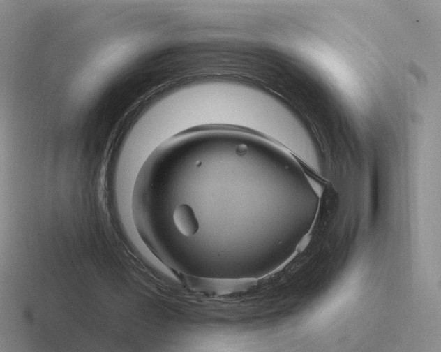 X0000116870387201001051448