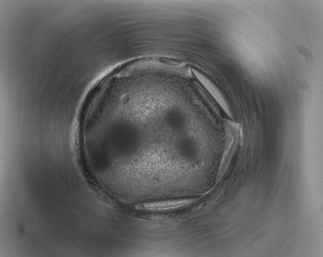 X0000116870388201001051448