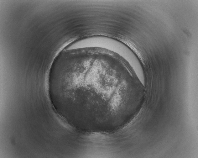 X0000116870390201001051448