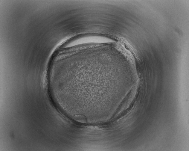 X0000116870392201001051448