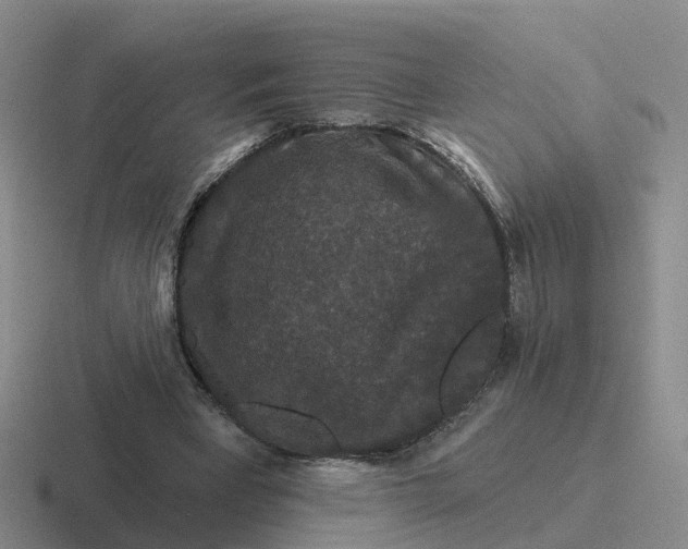 X0000116870393201001051448