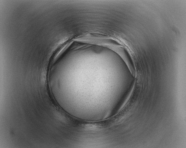 X0000116870394201001051448