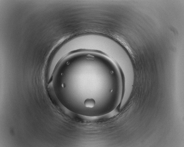 X0000116870395201001051448