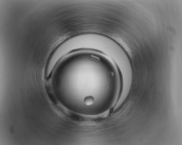 X0000116870397201001051448