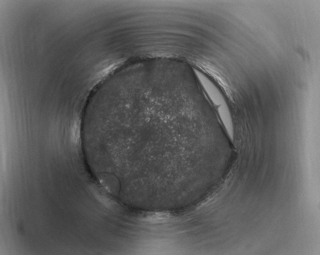 X0000116870398201001051448