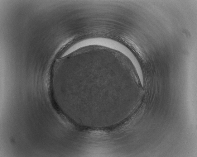 X0000116870400201001051448