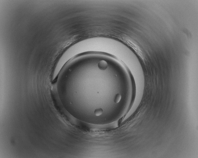 X0000116870401201001051448