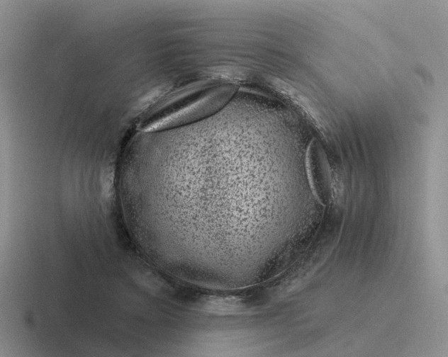 X0000116870403201001051448