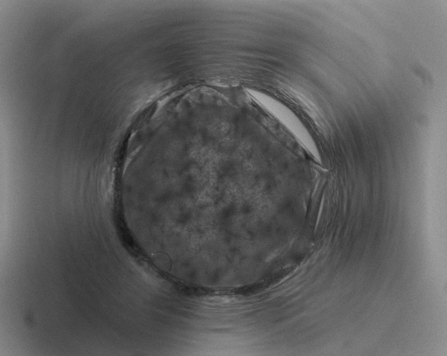 X0000116870404201001051448