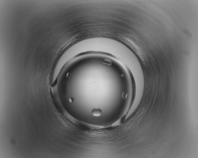 X0000116870405201001051448