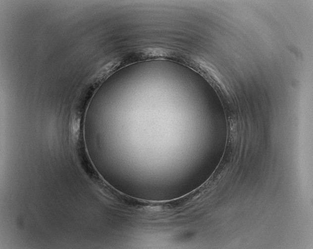 X0000116870406201001051448